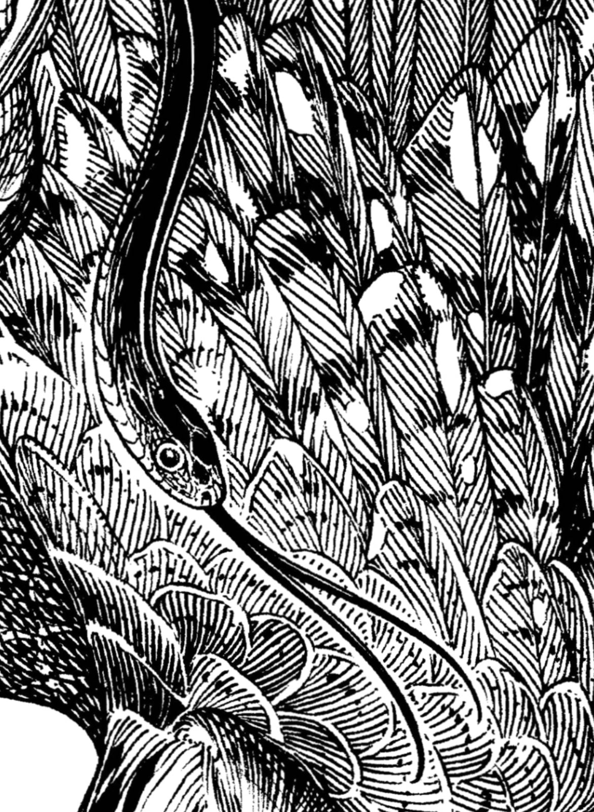 If We Go At The Same Time (Lines) PRINT PREORDER