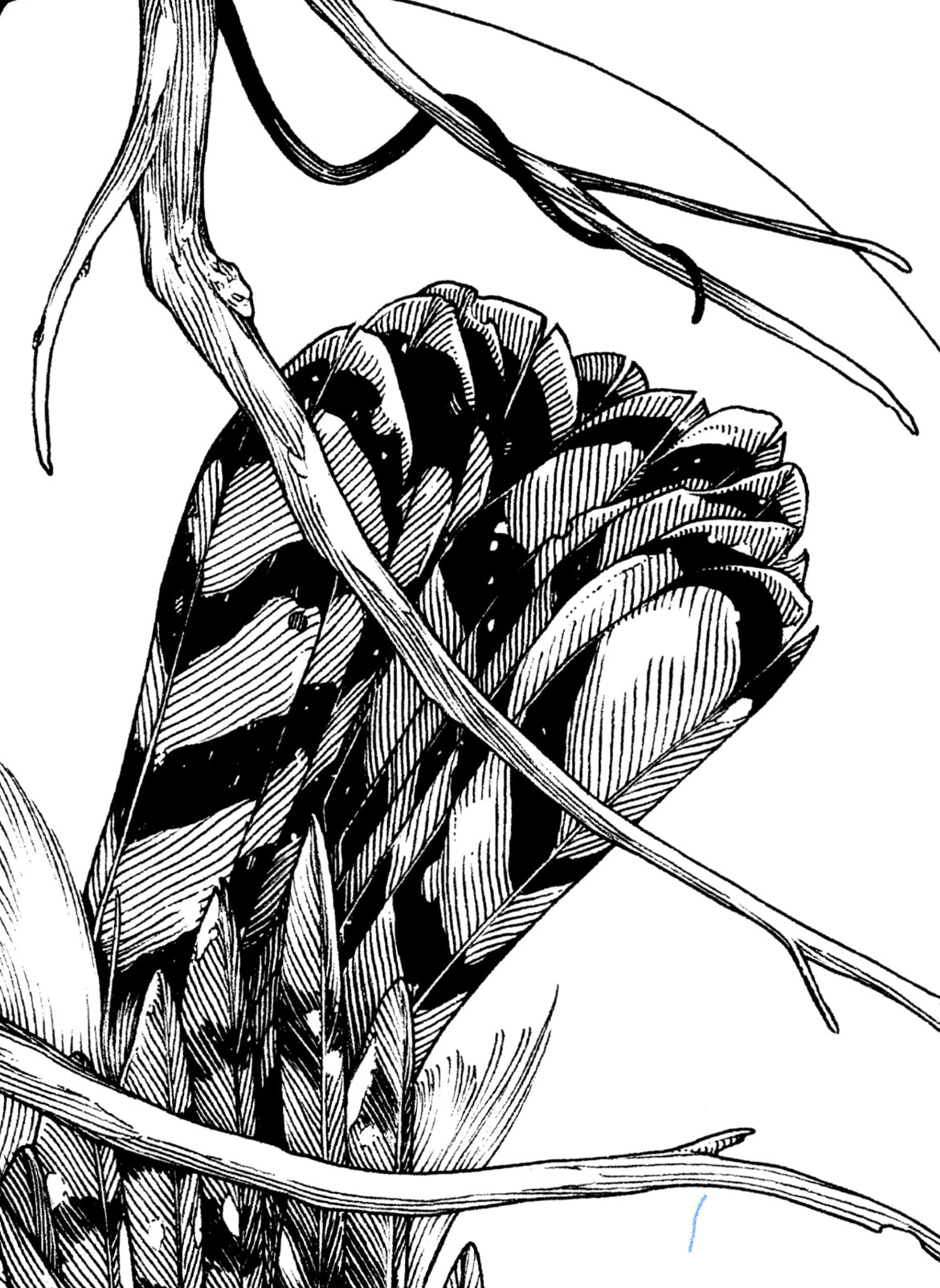 If We Go At The Same Time (Lines) PRINT PREORDER