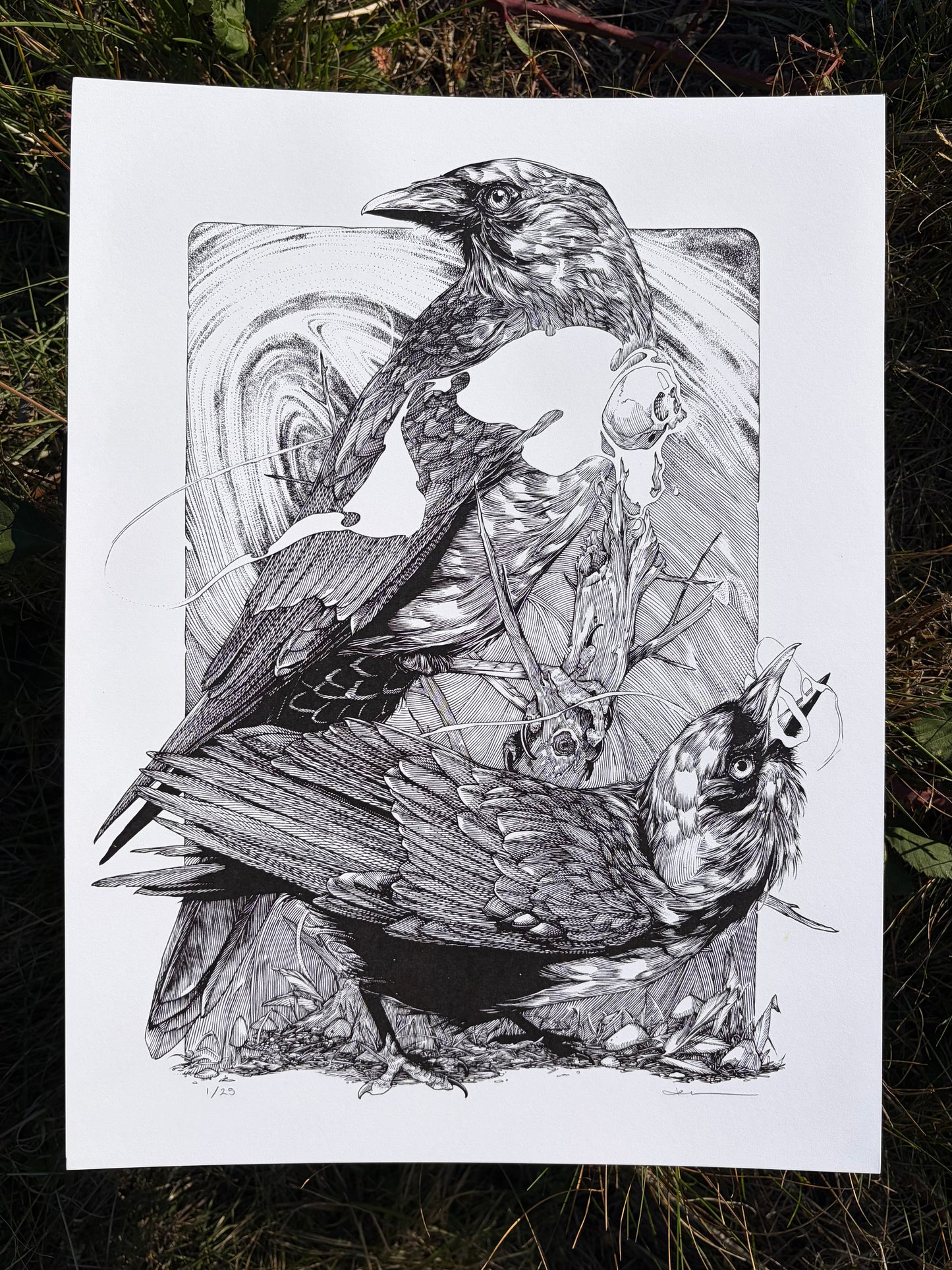 Seance PRINT