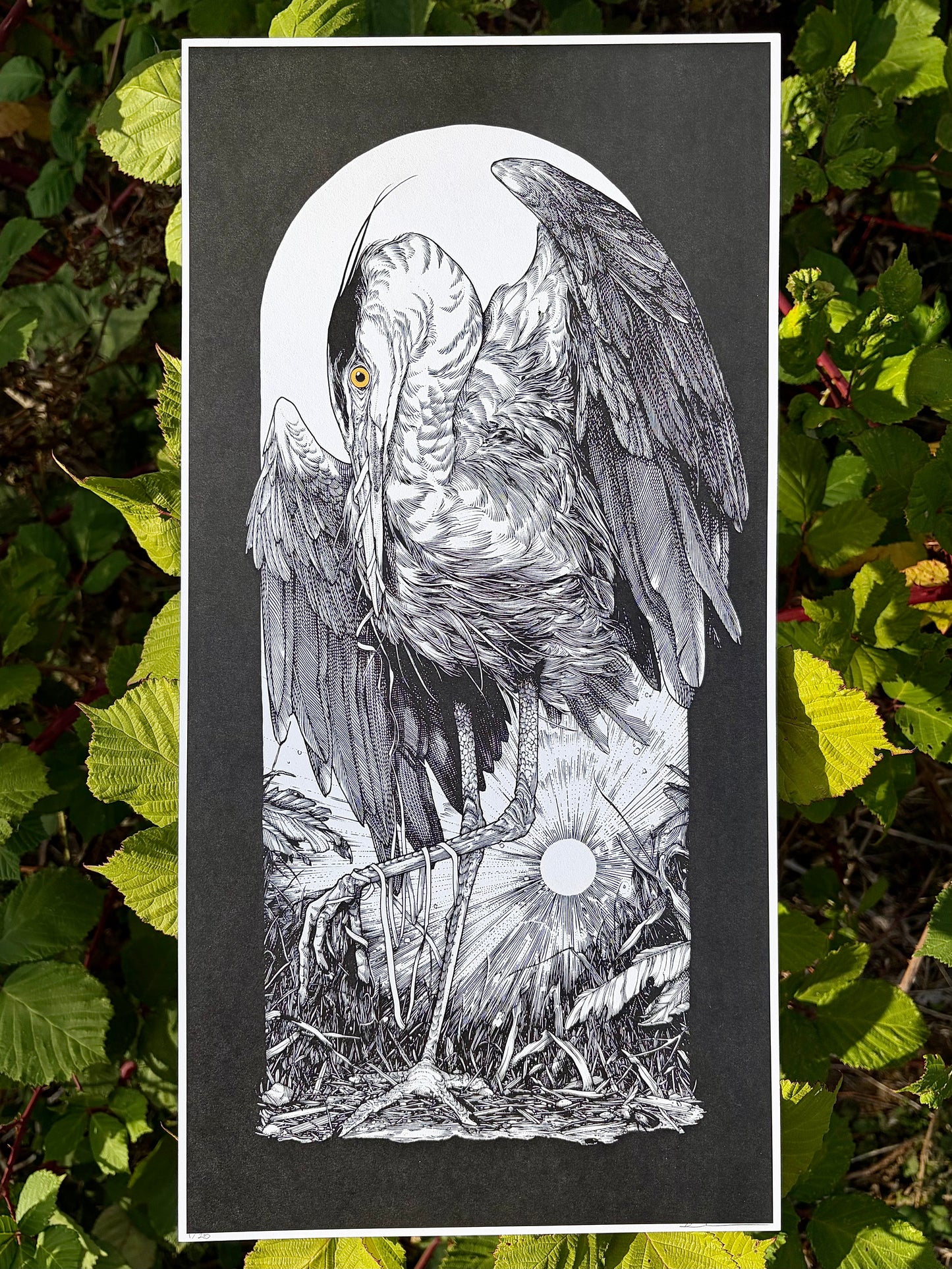 “Guilt” PRINT