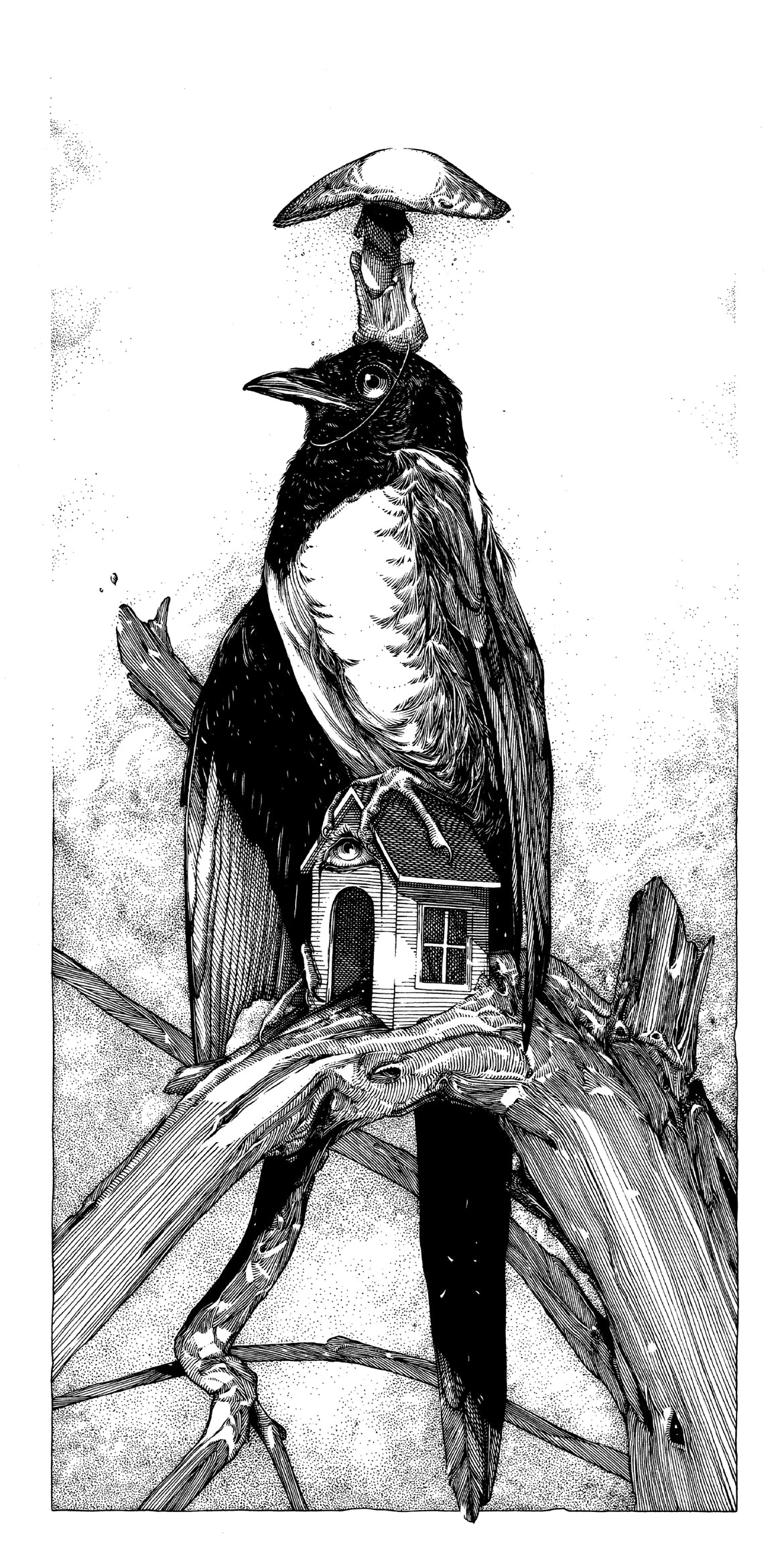 Curse PRINT PREORDER