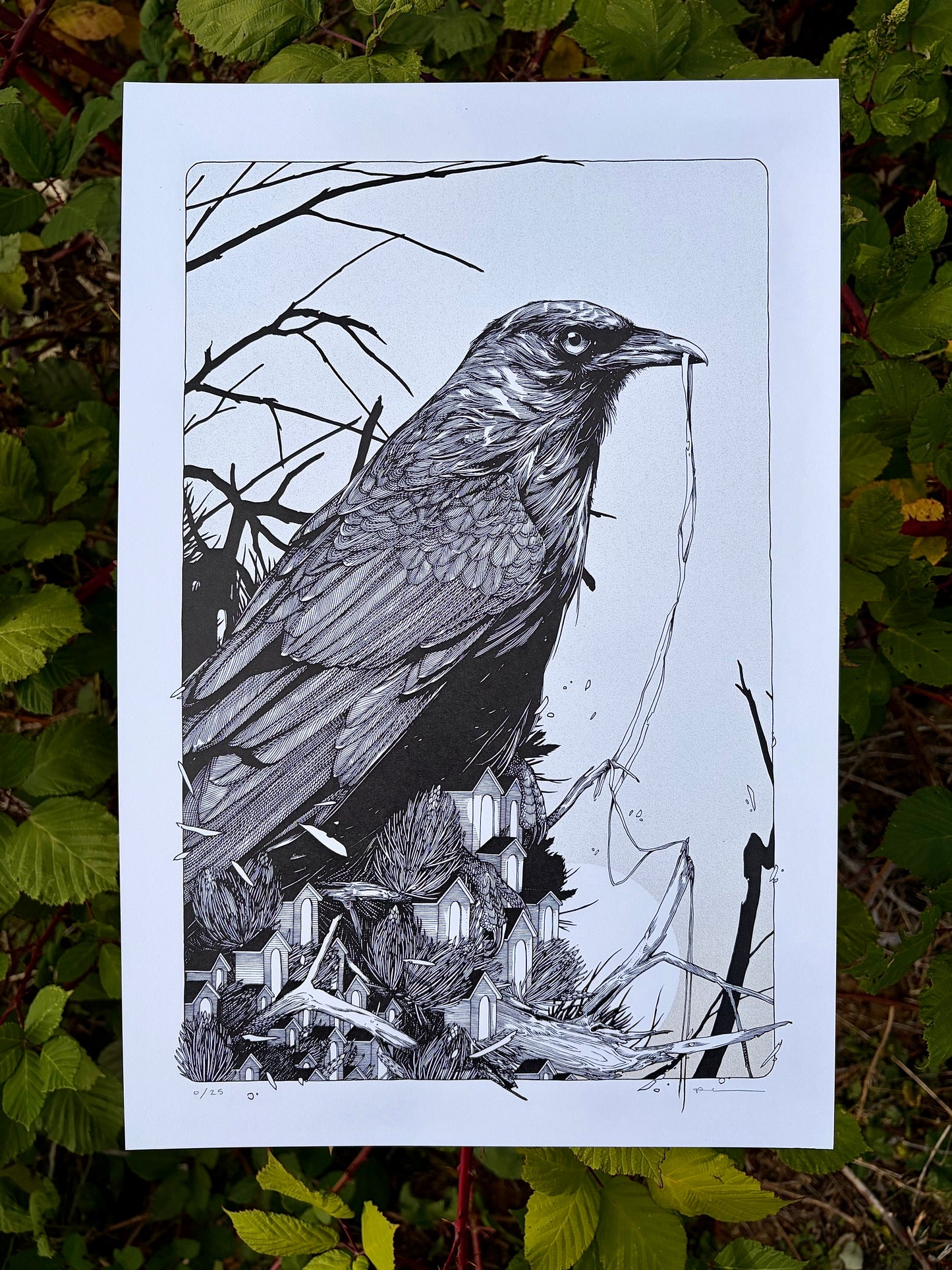 Landlord PRINT