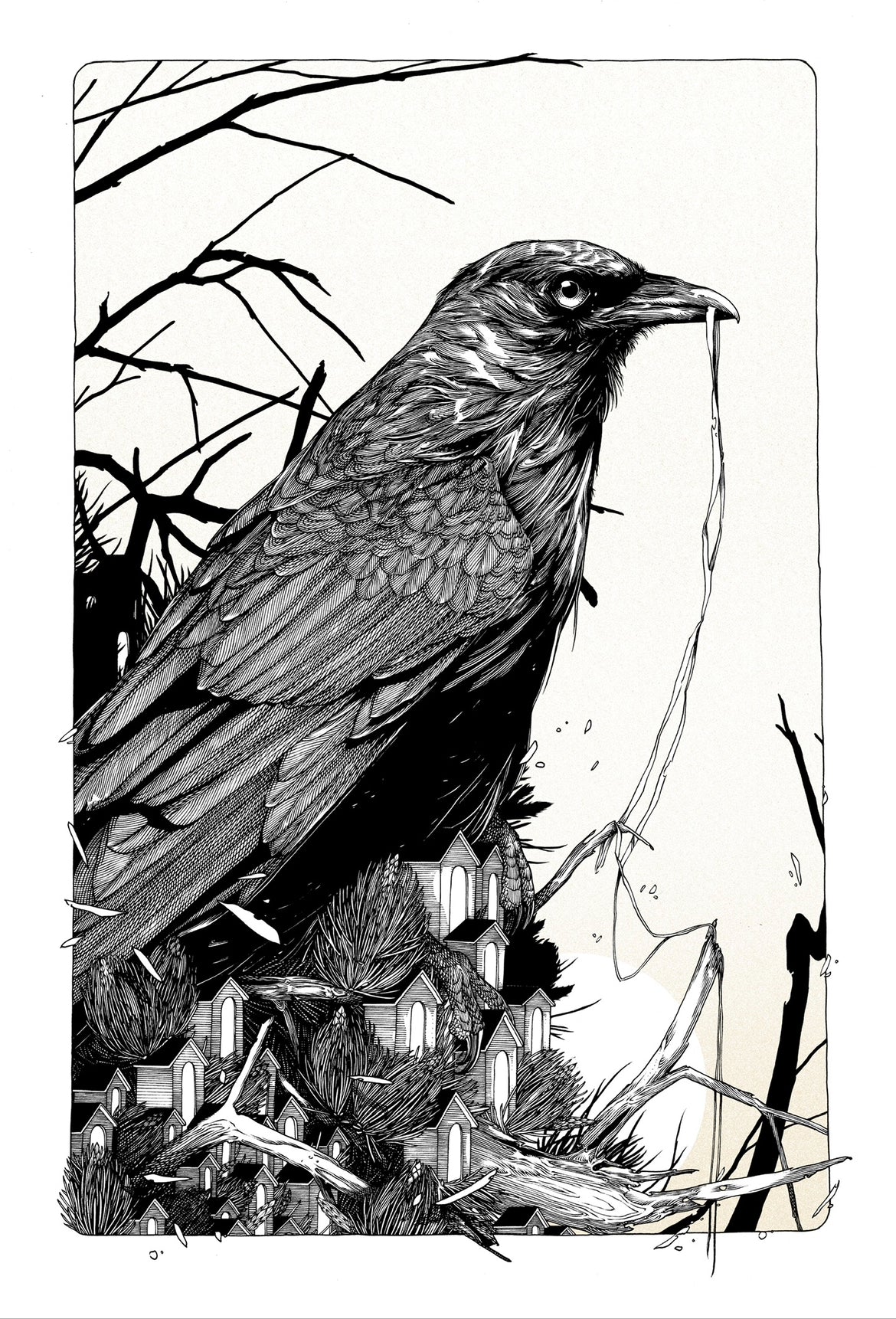 Landlord PRINT PREORDER