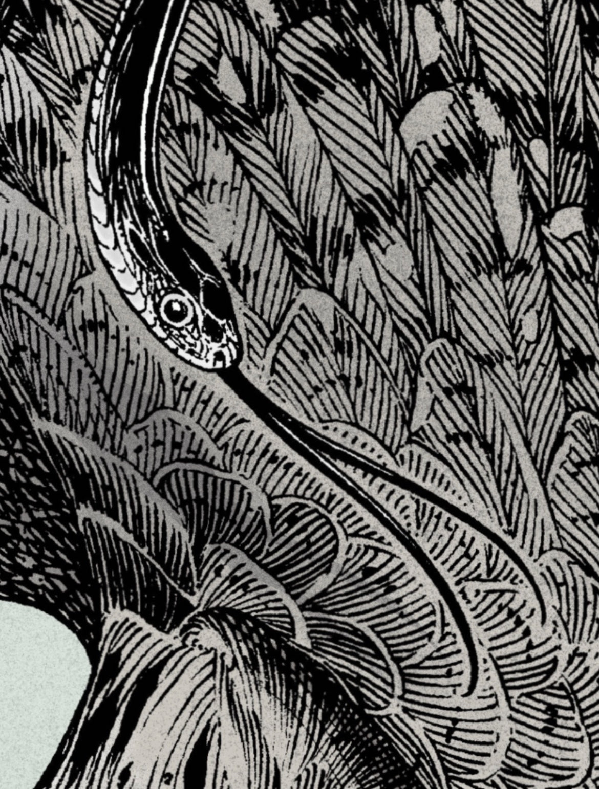 If We Go At The Same Time PRINT PREORDER