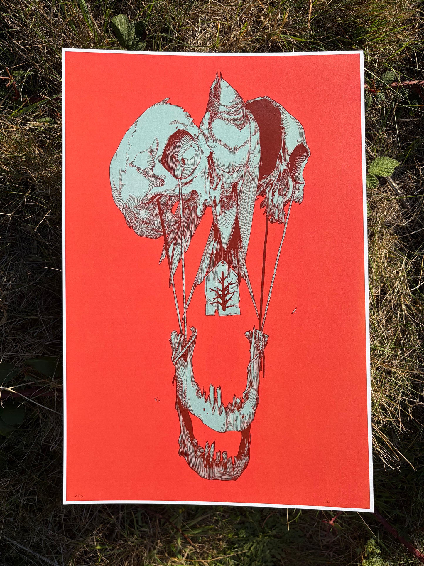 Bouquet PRINT PREORDER
